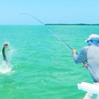 best-tarpon-season.JPG