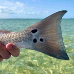 key-west-redfish.jpeg