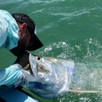 tarpon-fishing-charter-florida-keys.jpeg