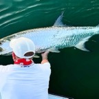 Tarpon-fishing-charters-florida-keys.jpeg