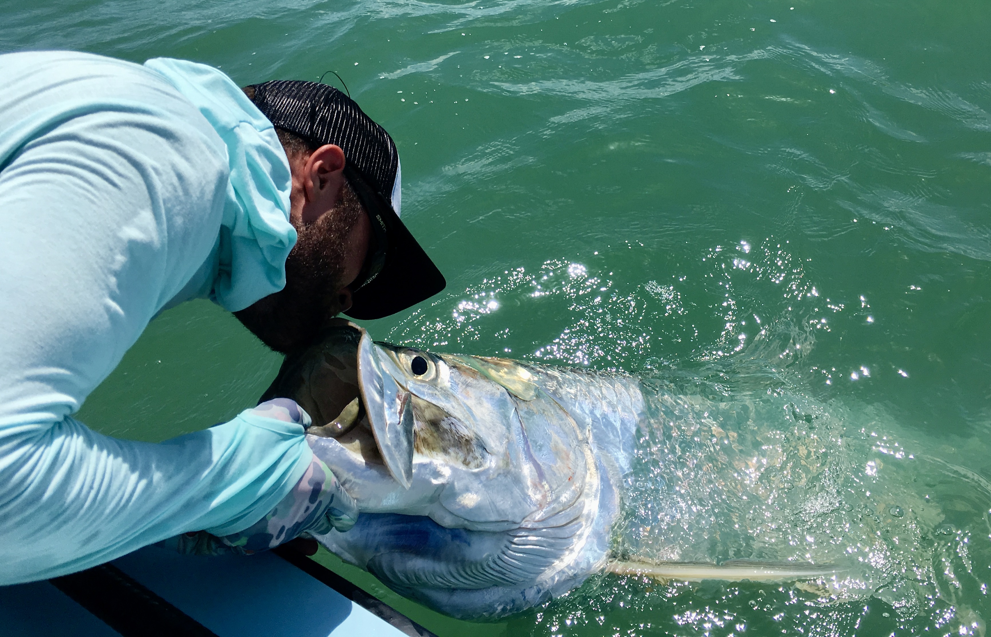 Large tarpon caught while fly fishing in the Florida Keys.