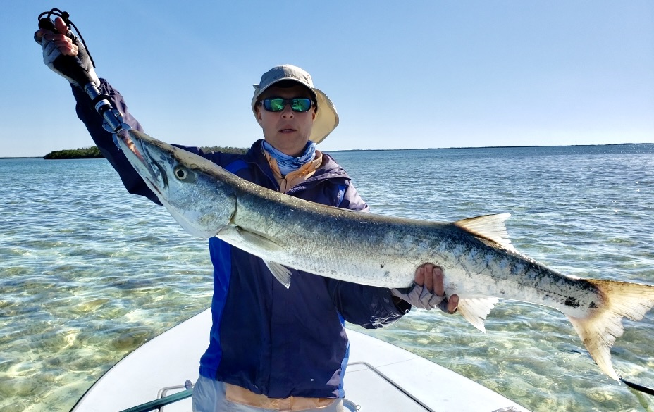 A huge barracuda caught while on a Florida Keys flats fishing charter