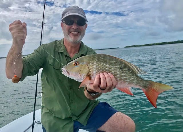A mutton snapper caught backcoountry fishing the Florida Keys