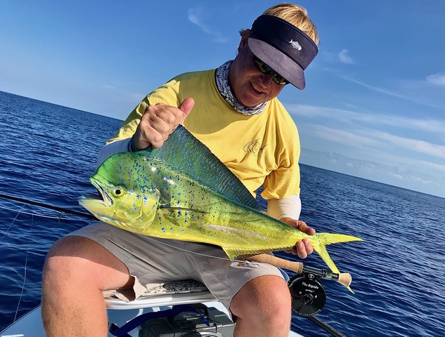 A mahi caught fly fishing the Florida Keys