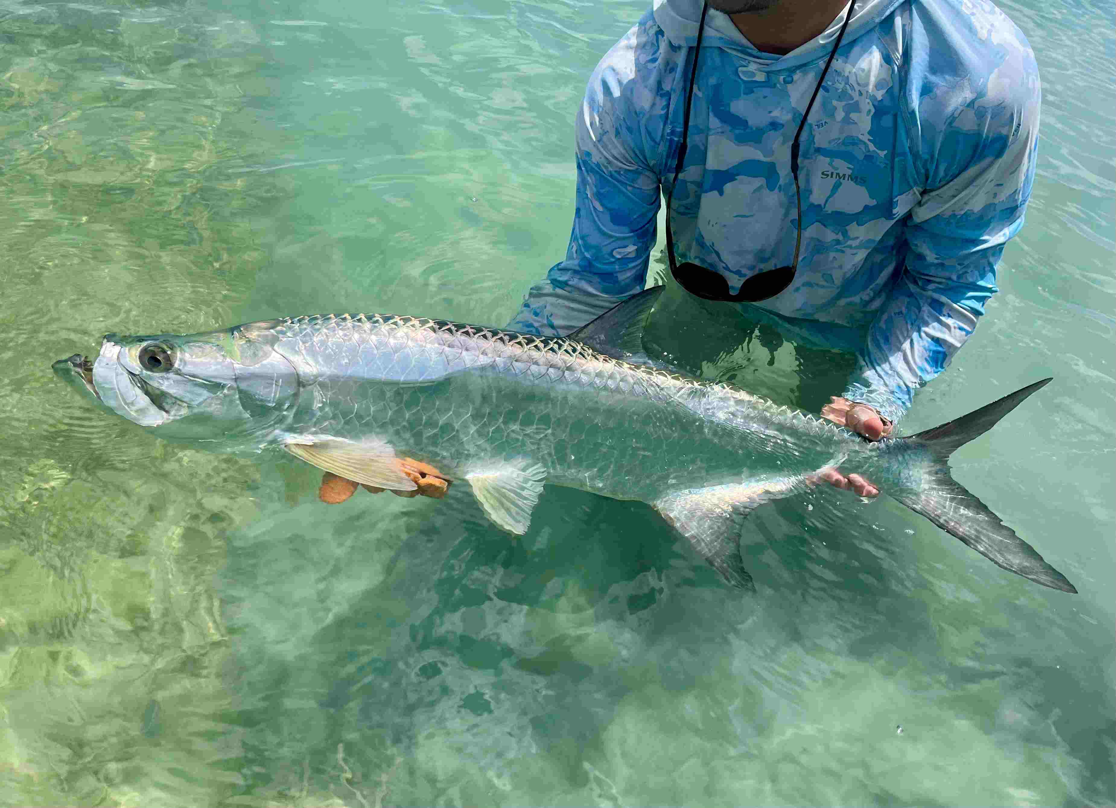 Fisherman releasing a tarpon during Key West summer months