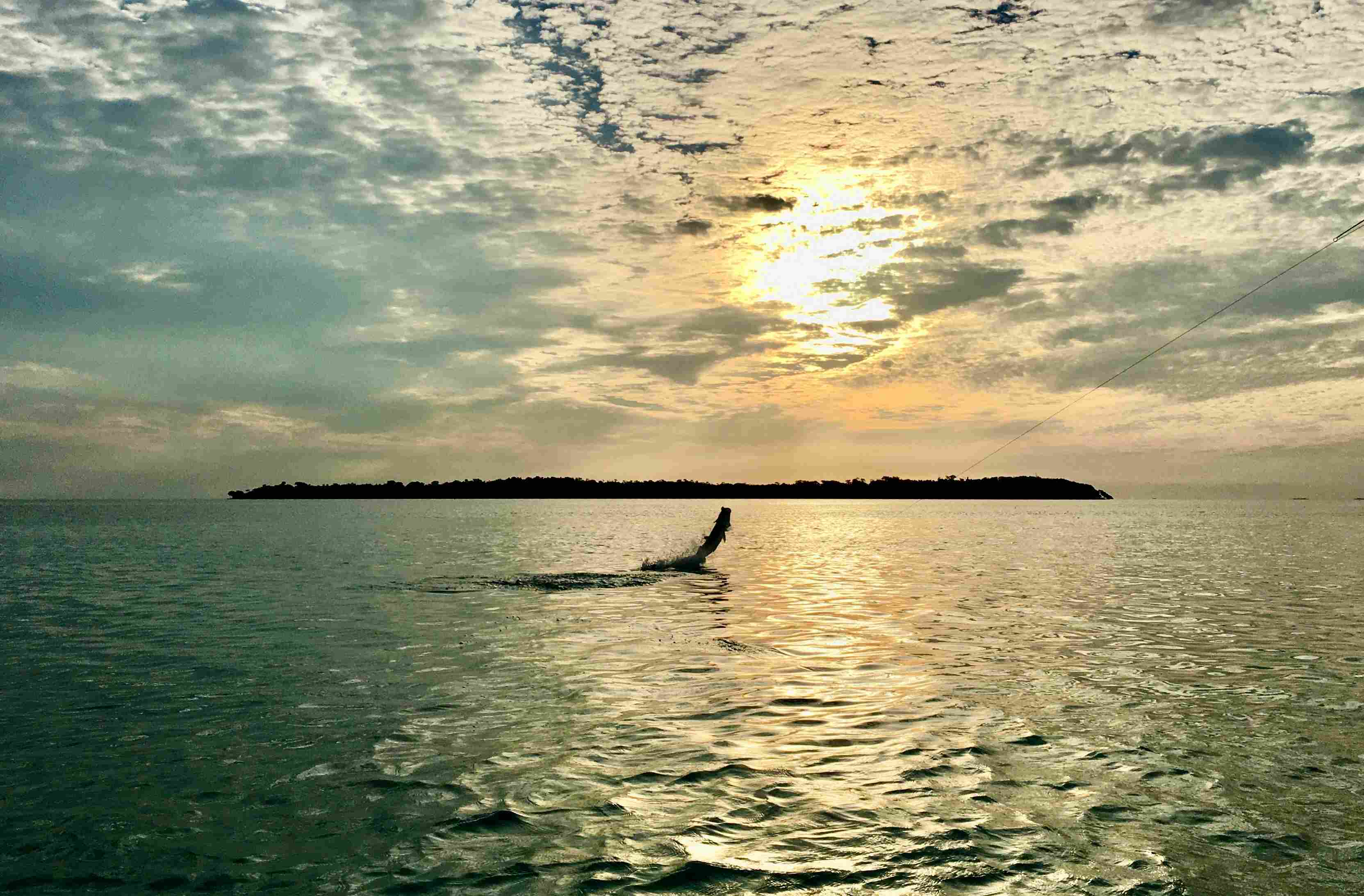 Sunrise tarpon fishing in the Florida Keys and Key West